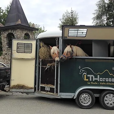 Lthorses & Dreams Frühstückspension 3*