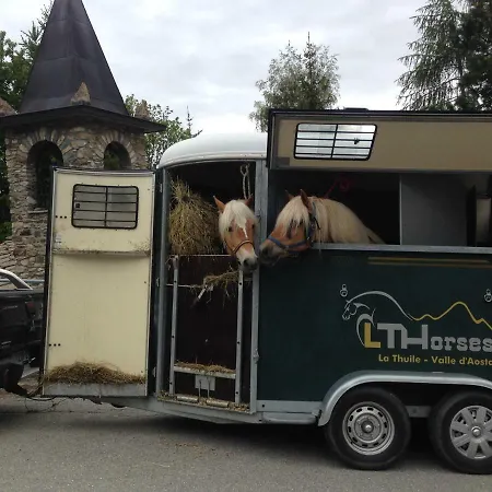 Lthorses & Dreams La Thuile