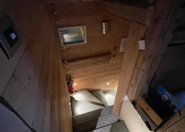 Bed & Breakfast Lthorses & Dreams