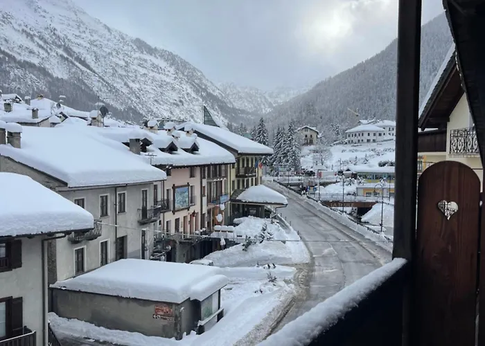 Bed & Breakfast Lthorses & Dreams