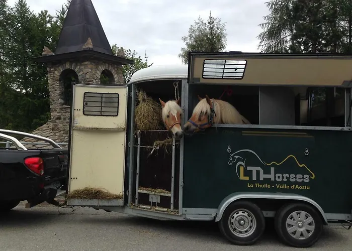 Lthorses & Dreams La Thuile